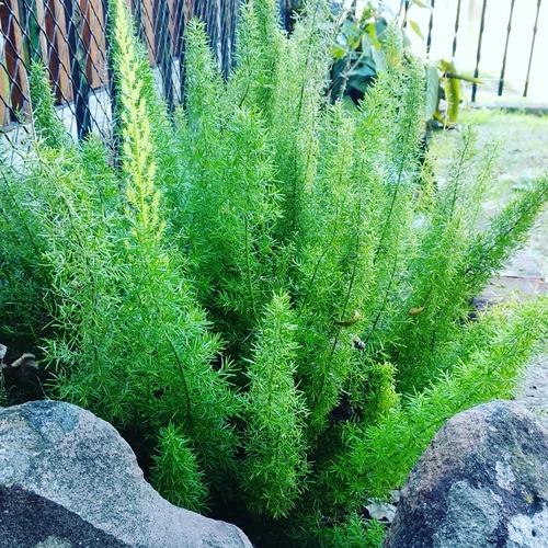 IMG_20180624_145501_134