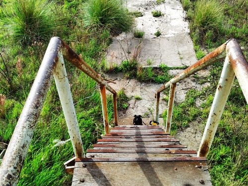 C360_2016-06-28-19-12-10-636