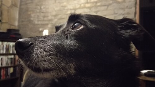 IMG_20180716_090939_222