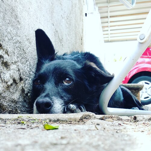 IMG_20181212_124812_178