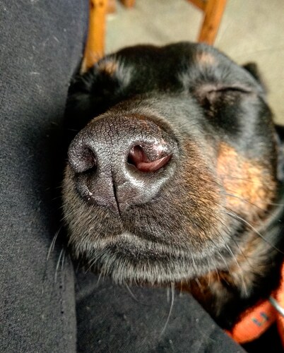 IMG_20190602_152545_520