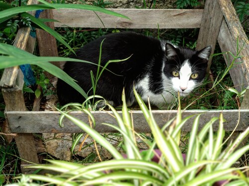 IMG_20190727_173621_759