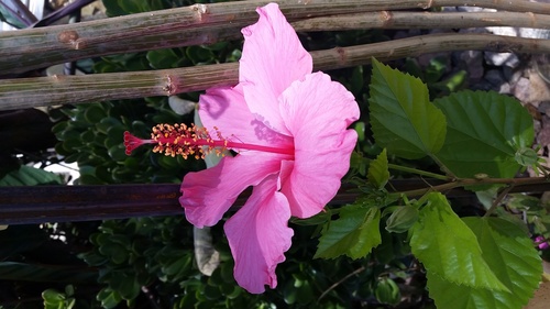 20180112_123149_resize_31