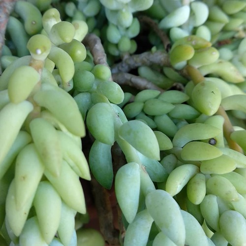 IMG_20180629_211713_295