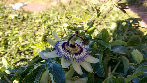 IMG_20190213_171230_resize_94