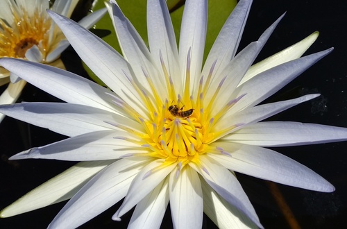 IMG_20190217_113038-01