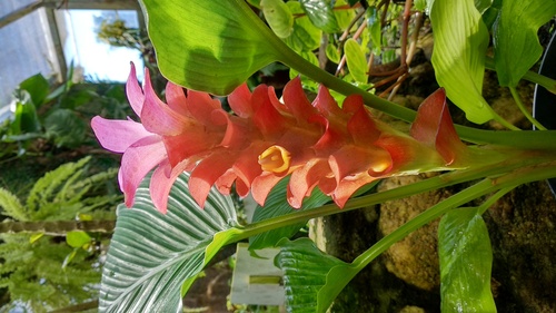 IMG_20190217_115122_resize_78