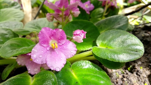 IMG_20190217_115440_resize_48