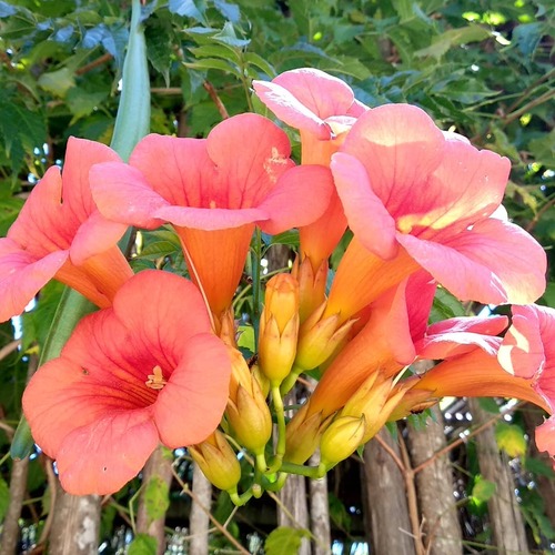 IMG_20190224_105113_611