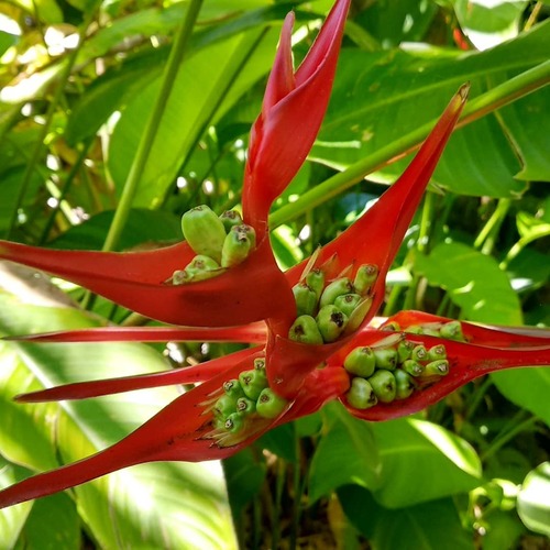 IMG_20190224_105113_613