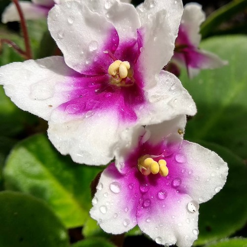 IMG_20190224_105113_626