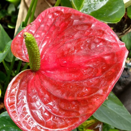 IMG_20190224_105113_630