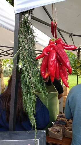 PSX_20181224_175844_resize_60