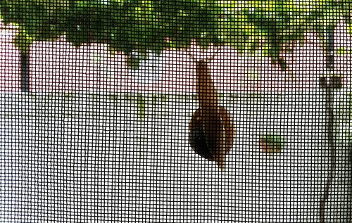 20170110_102300~01_compress42