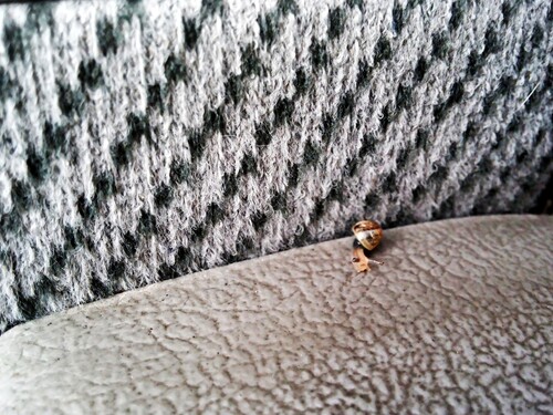 Copia-de-C360_2016-08-18-14-18-11-694_compress26