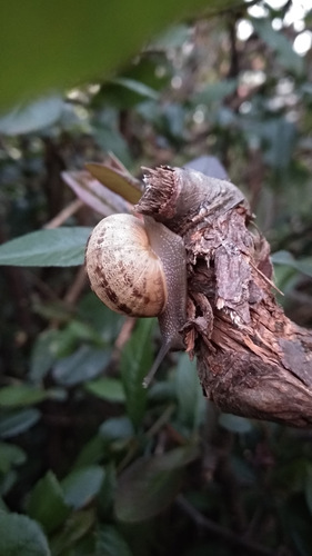 IMG_20181001_185620_HHT