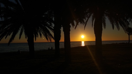 IMG_20190116_194423_resize_52