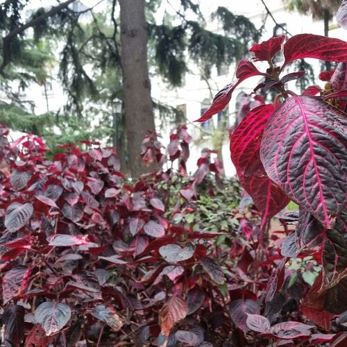 IMG_20170925_073930_749