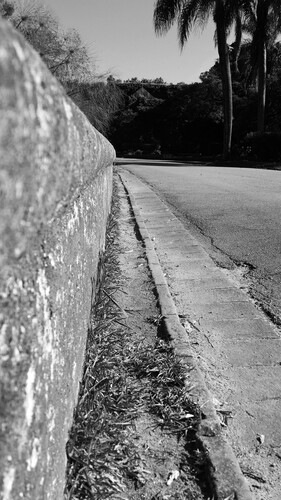 20170121_171909_compress51