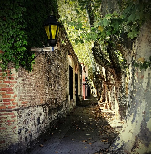 C360_2016-02-21-12-38-33-862_compress22